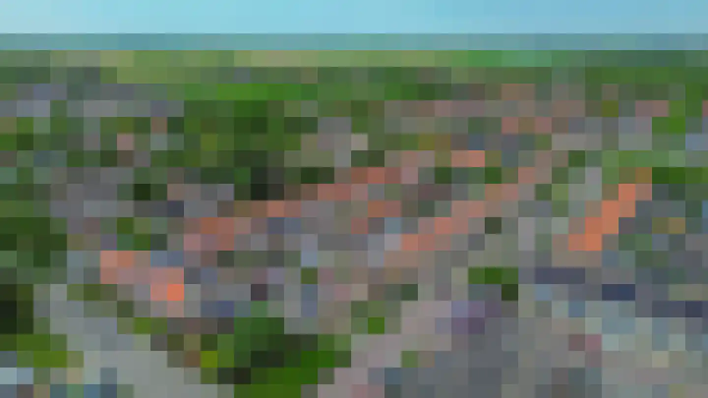 Bosdreef 42 Dirksland thumbnail 48