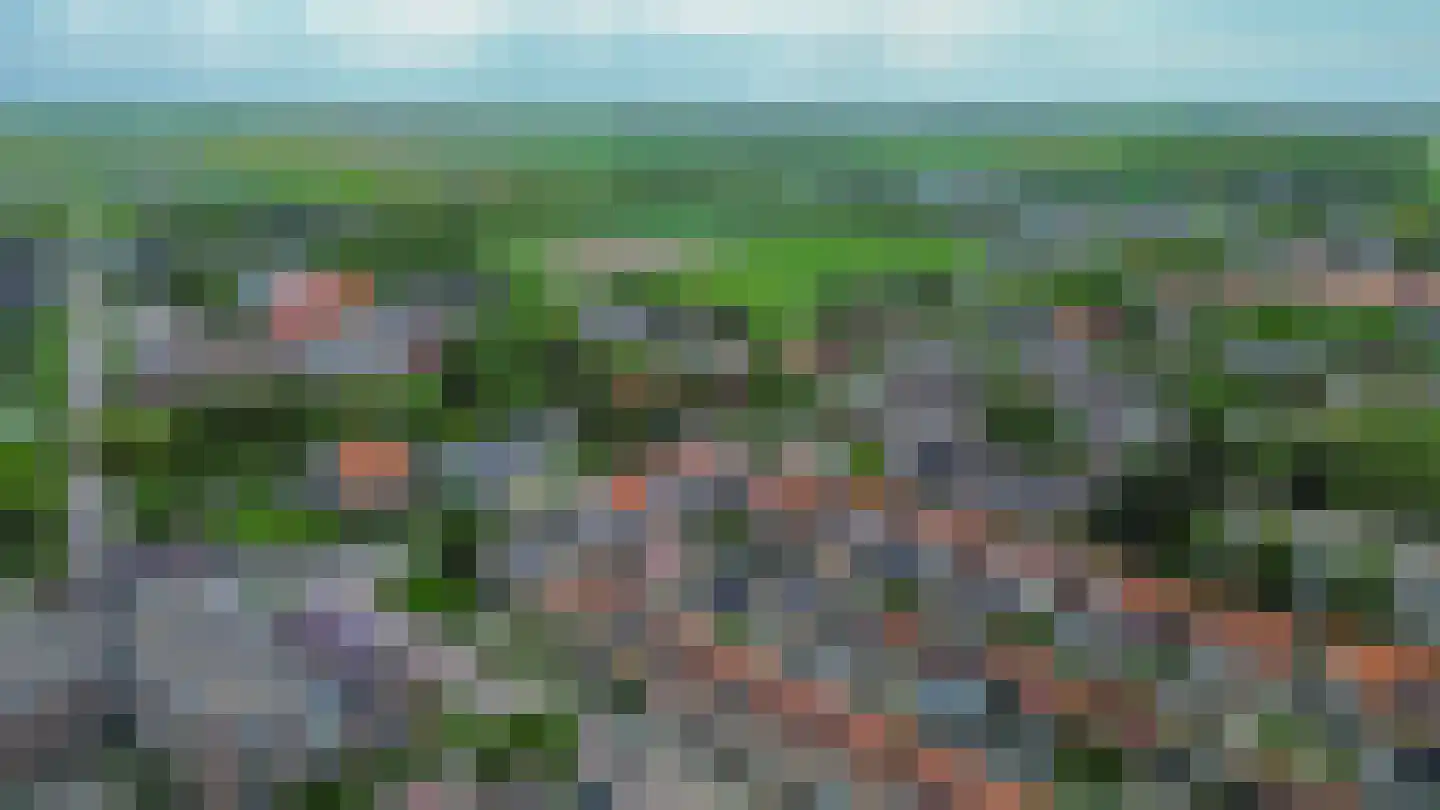 Bosdreef 42 Dirksland thumbnail 49