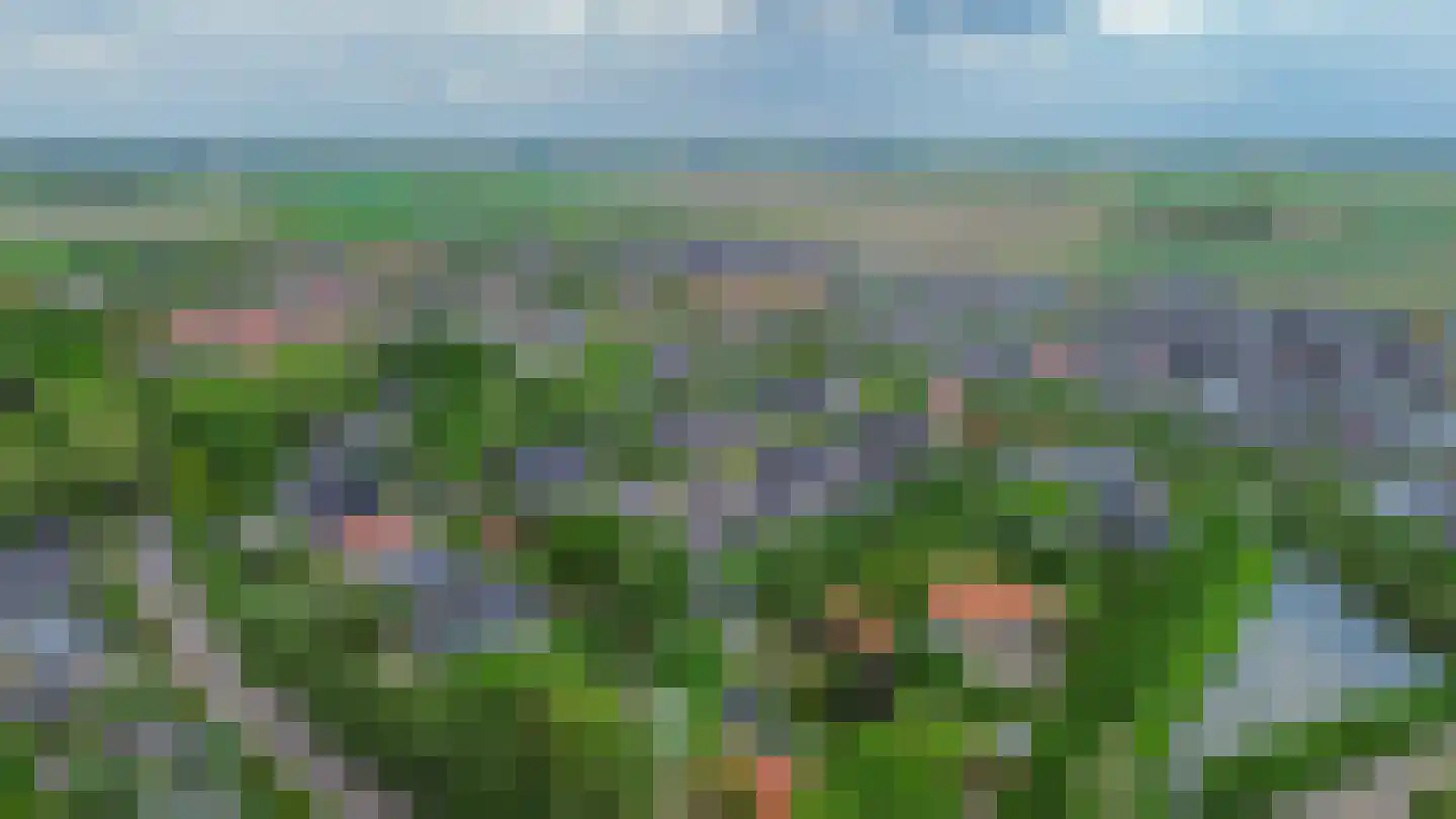 Bosdreef 42 Dirksland thumbnail 52