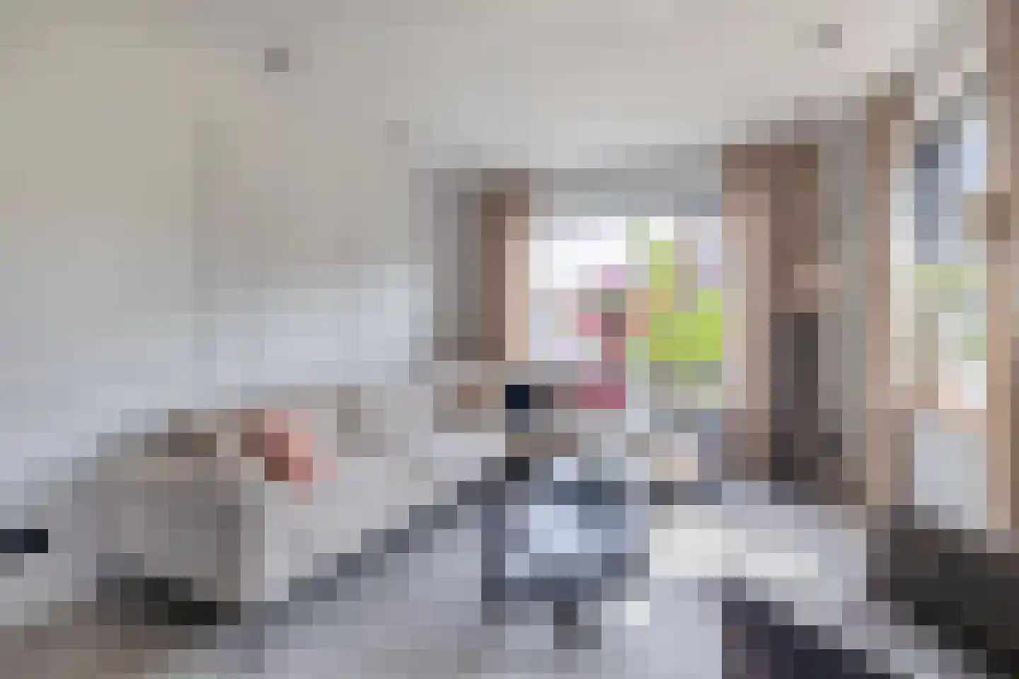 Bosdreef 42 Dirksland thumbnail 8