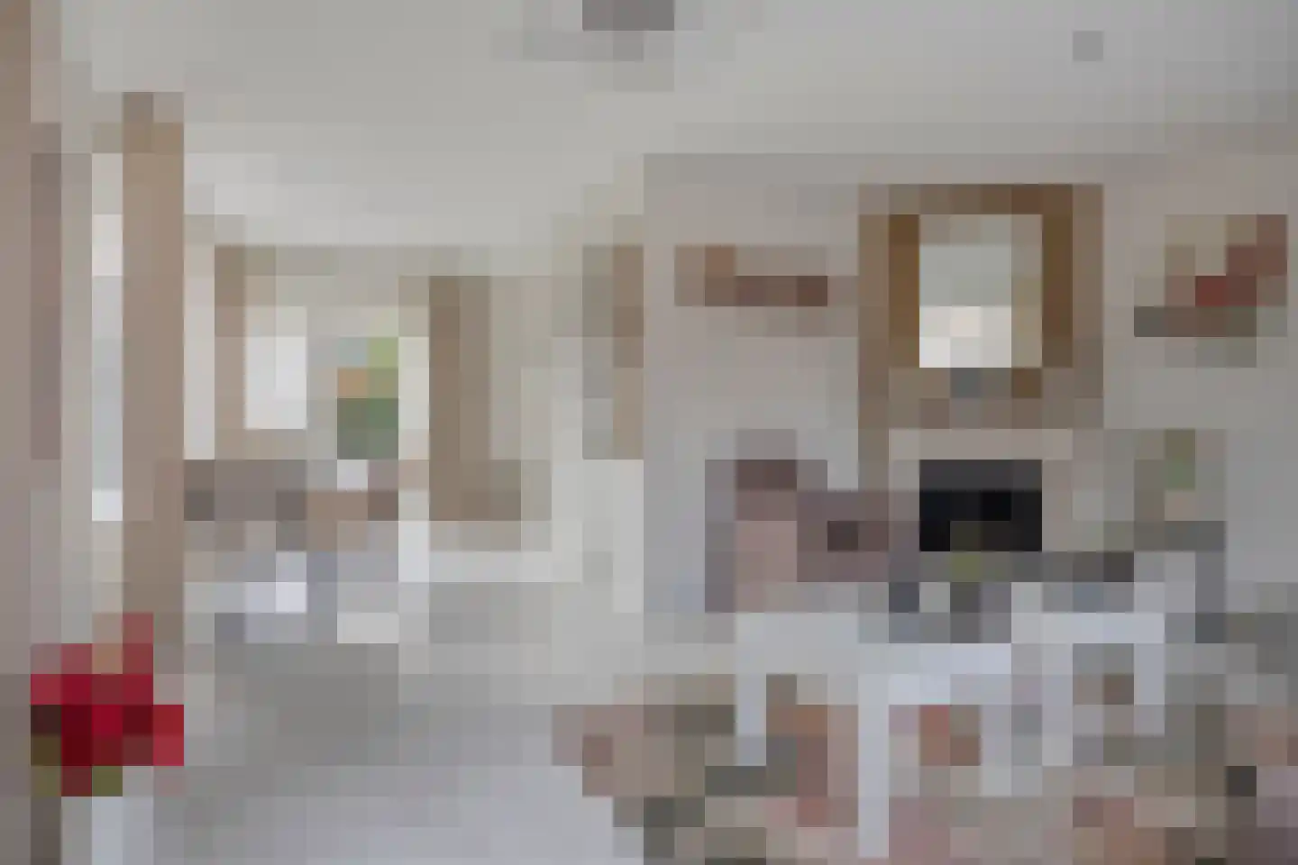 Bosdreef 44 Dirksland thumbnail 14