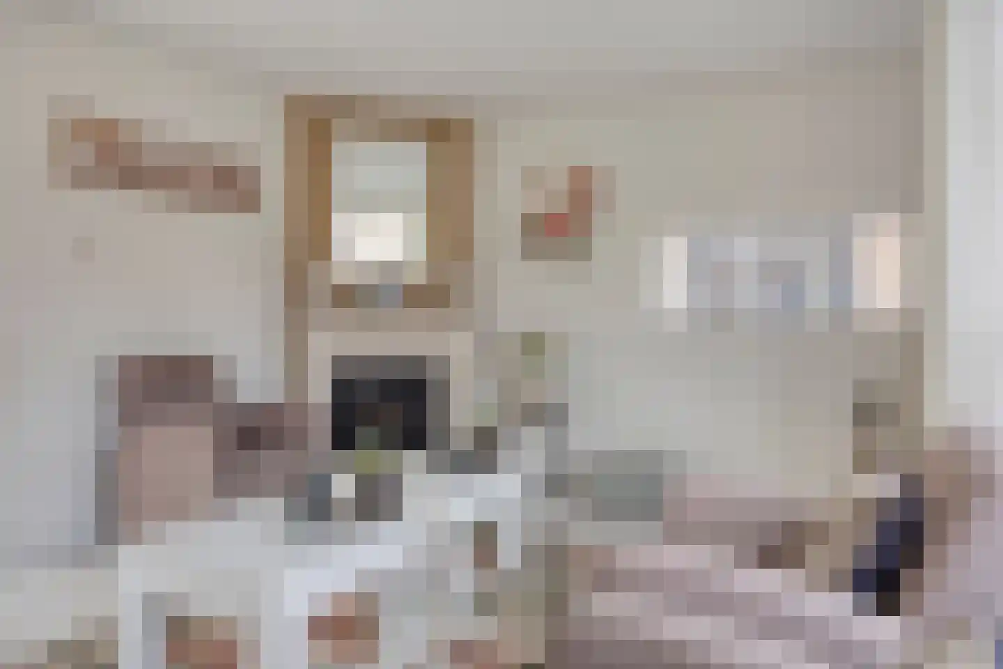 Bosdreef 44 Dirksland thumbnail 15