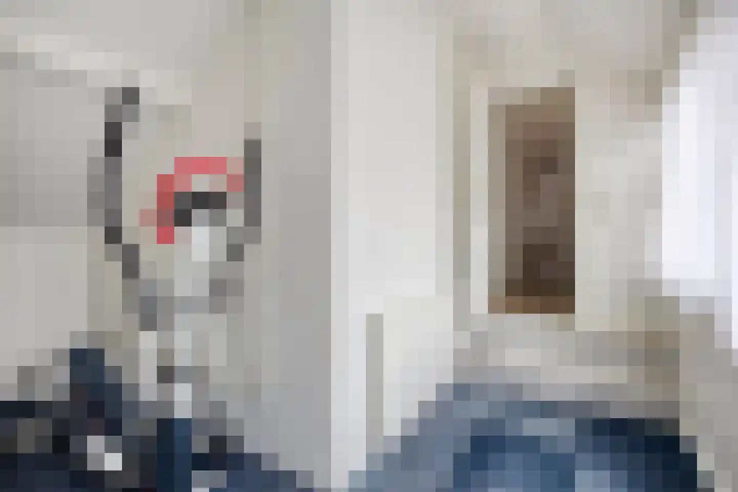 Bosdreef 44 Dirksland thumbnail 31