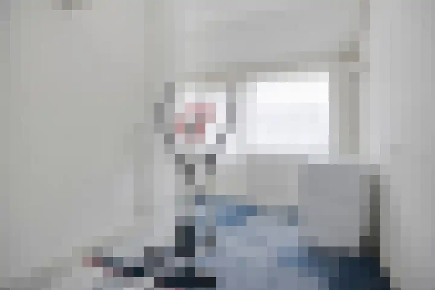 Bosdreef 44 Dirksland thumbnail 33