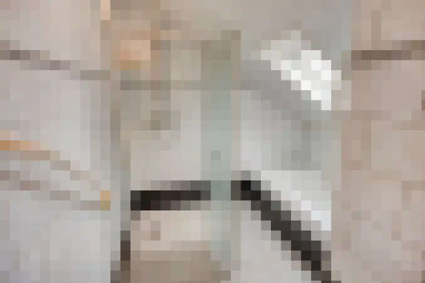 Bosdreef 44 Dirksland thumbnail 35