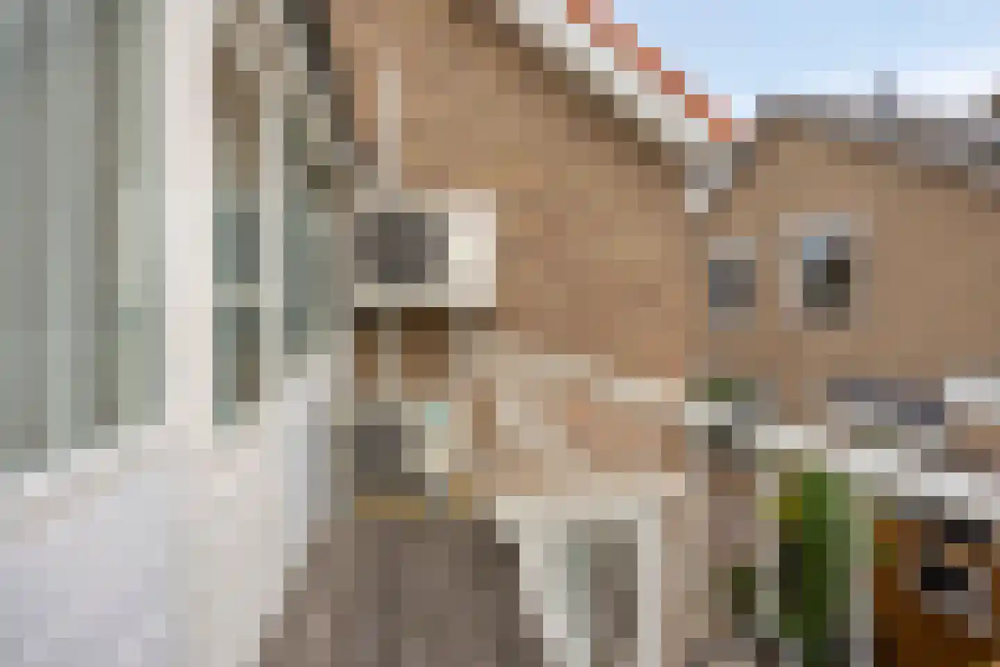 Bosdreef 44 Dirksland thumbnail 38
