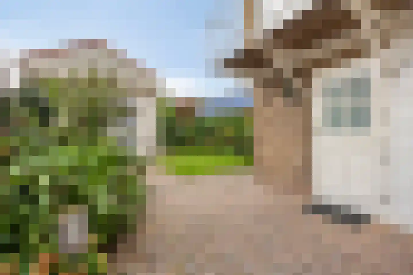 Bosdreef 44 Dirksland thumbnail 40