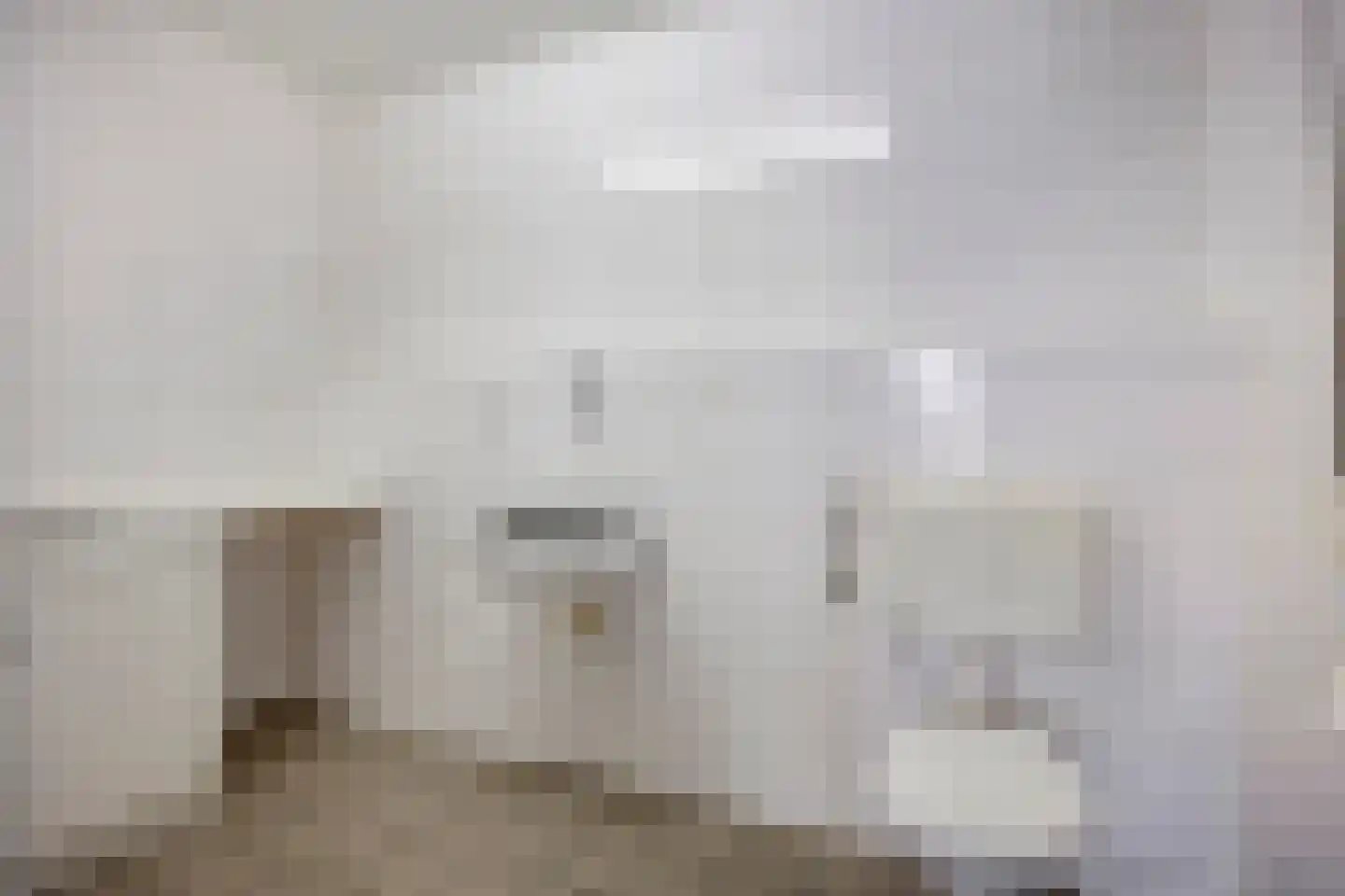 Bosdreef 44 Dirksland thumbnail 48