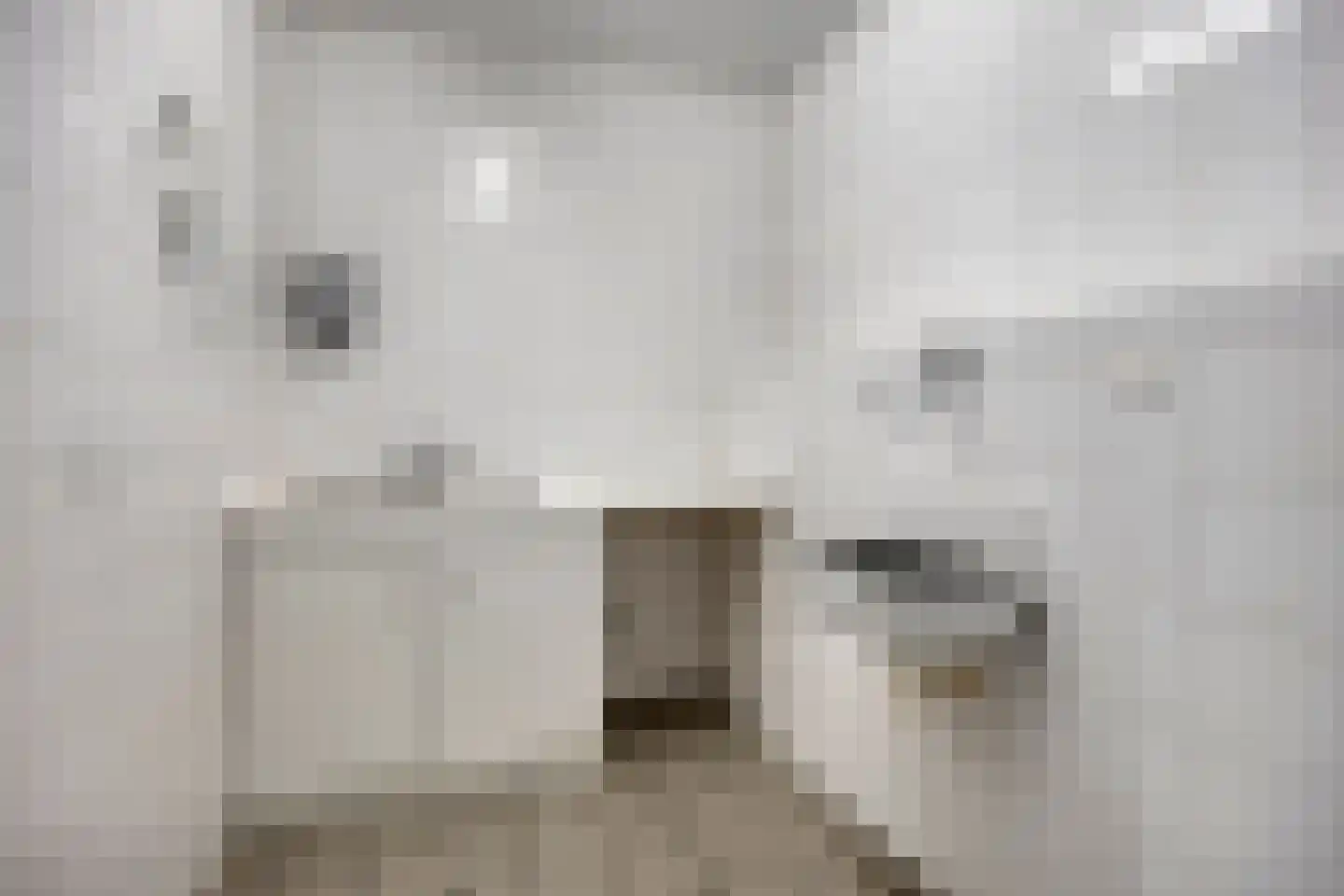 Bosdreef 44 Dirksland thumbnail 49