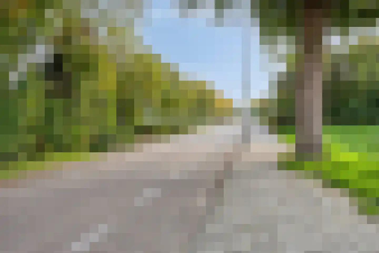 Bosdreef 44 Dirksland thumbnail 50