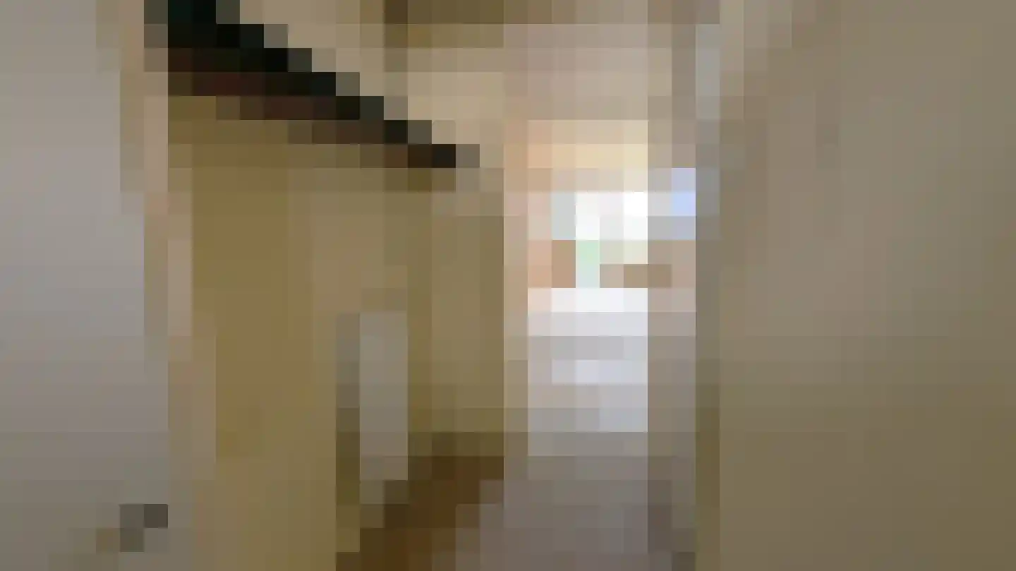 Bosdreef 73 Leiderdorp thumbnail 10