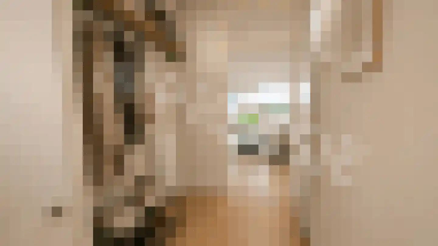 Bosdreef 73 Leiderdorp thumbnail 11