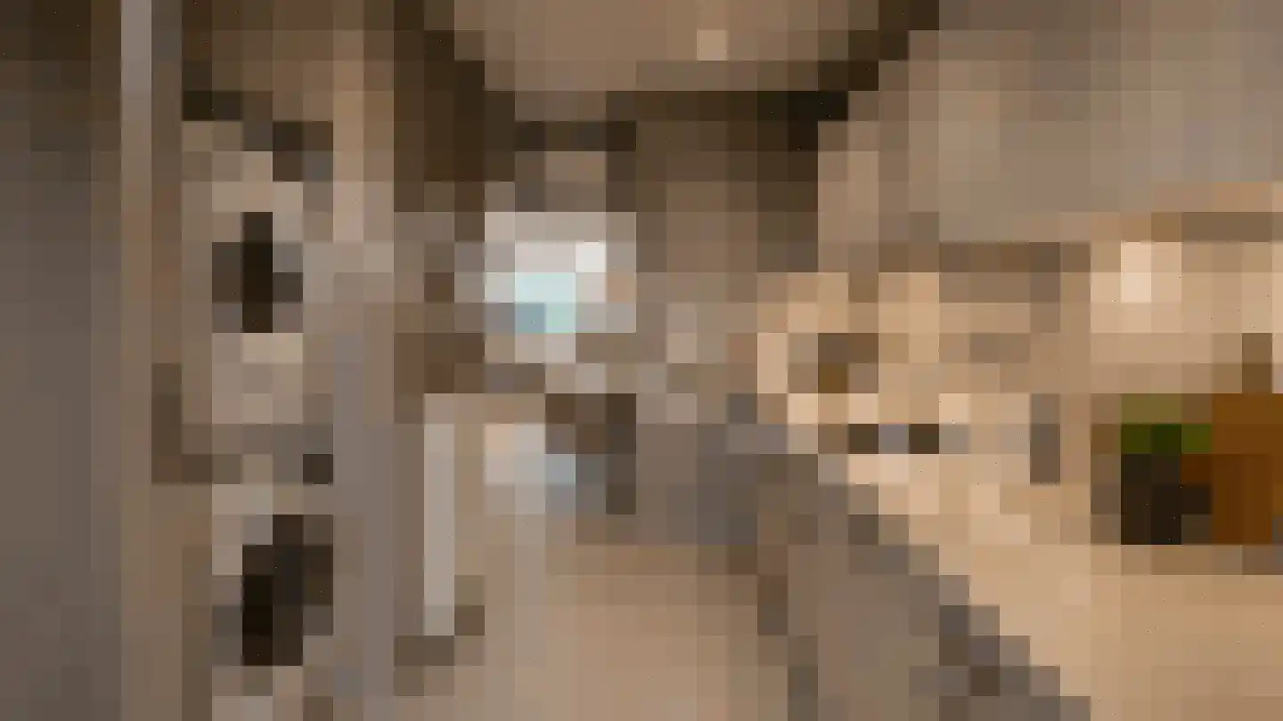 Bosdreef 73 Leiderdorp thumbnail 17