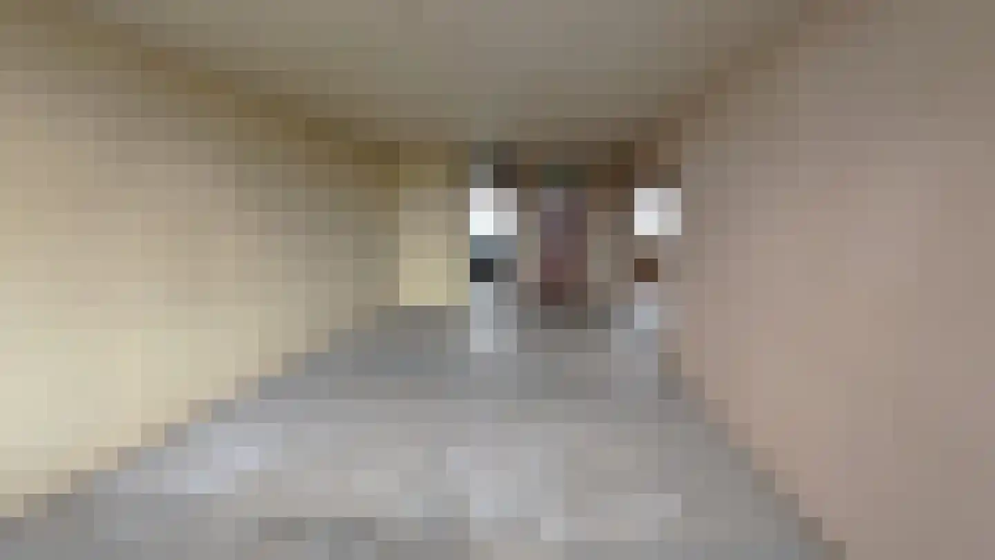 Bosdreef 73 Leiderdorp thumbnail 18