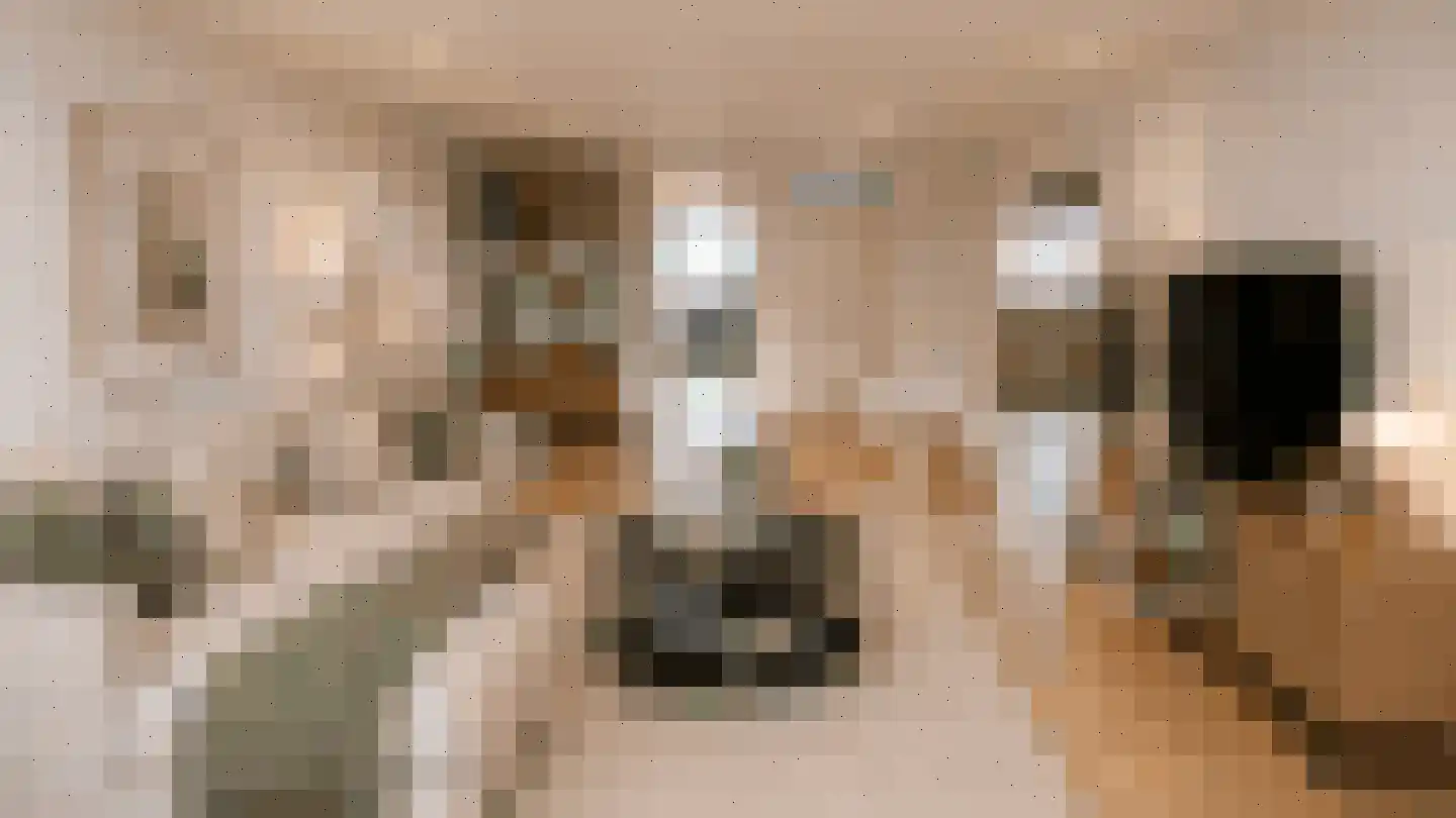 Bosdreef 73 Leiderdorp thumbnail 19