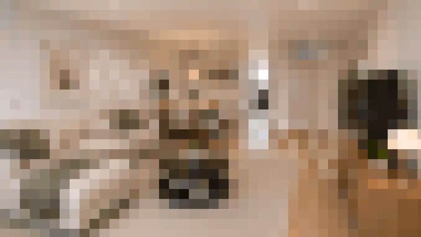 Bosdreef 73 Leiderdorp thumbnail 21