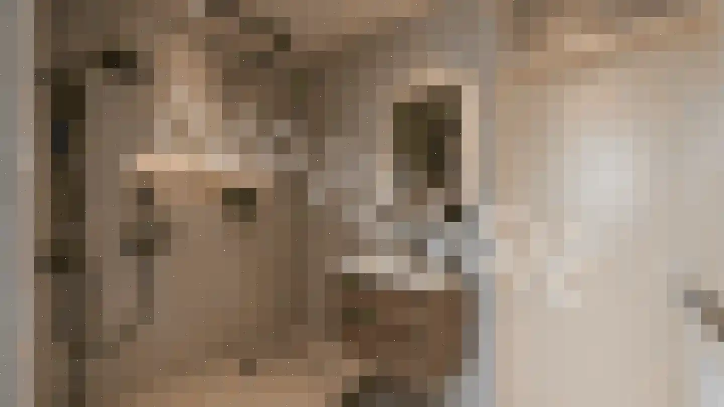 Bosdreef 73 Leiderdorp thumbnail 33