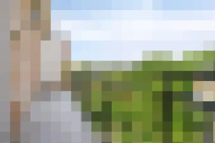 Bosdrift 146 Hilversum thumbnail 11