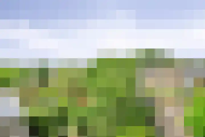 Bosdrift 146 Hilversum thumbnail 13