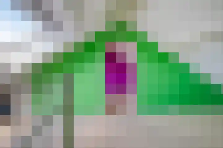 Bosdrift 146 Hilversum thumbnail 20
