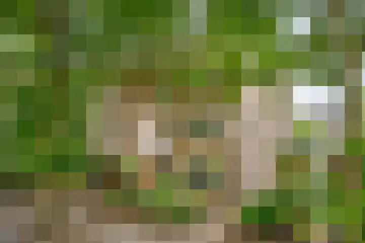 Bosdrift 146 Hilversum thumbnail 25