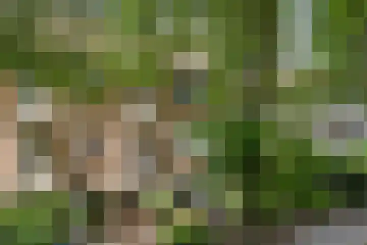 Bosdrift 146 Hilversum thumbnail 26