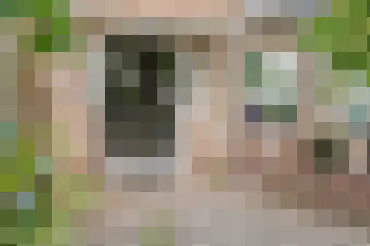 Bosdrift 146 Hilversum thumbnail 27