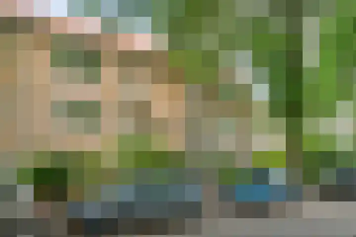 Bosdrift 146 Hilversum thumbnail 29