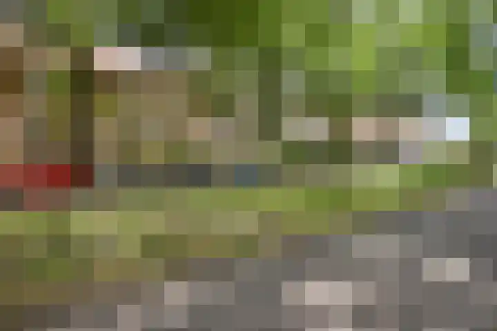Bosdrift 146 Hilversum thumbnail 30