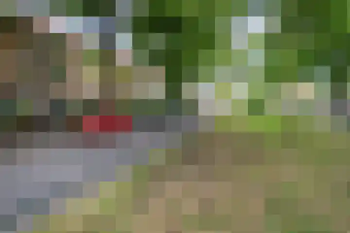 Bosdrift 146 Hilversum thumbnail 31