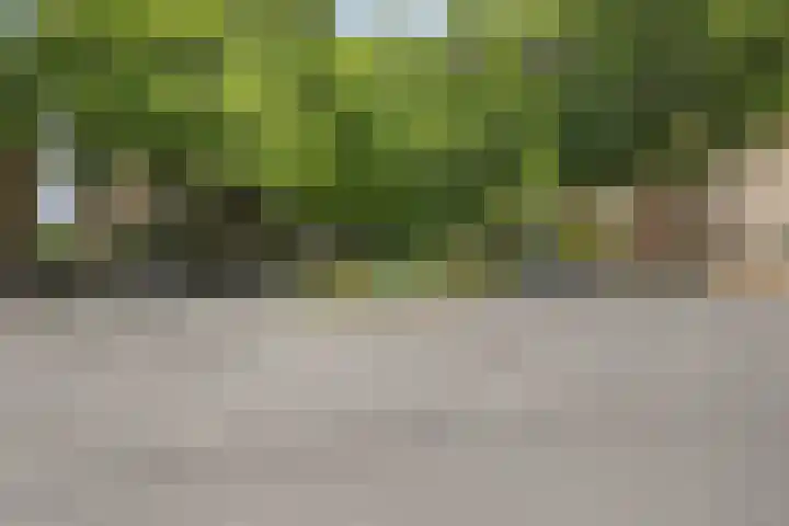 Bosdrift 146 Hilversum thumbnail 32