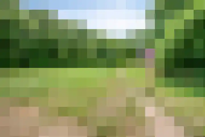 Bosdrift 146 Hilversum thumbnail 34
