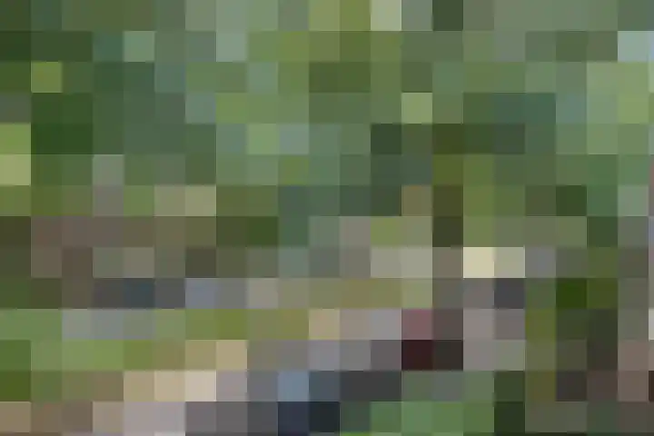 Bosdrift 146 Hilversum thumbnail 7