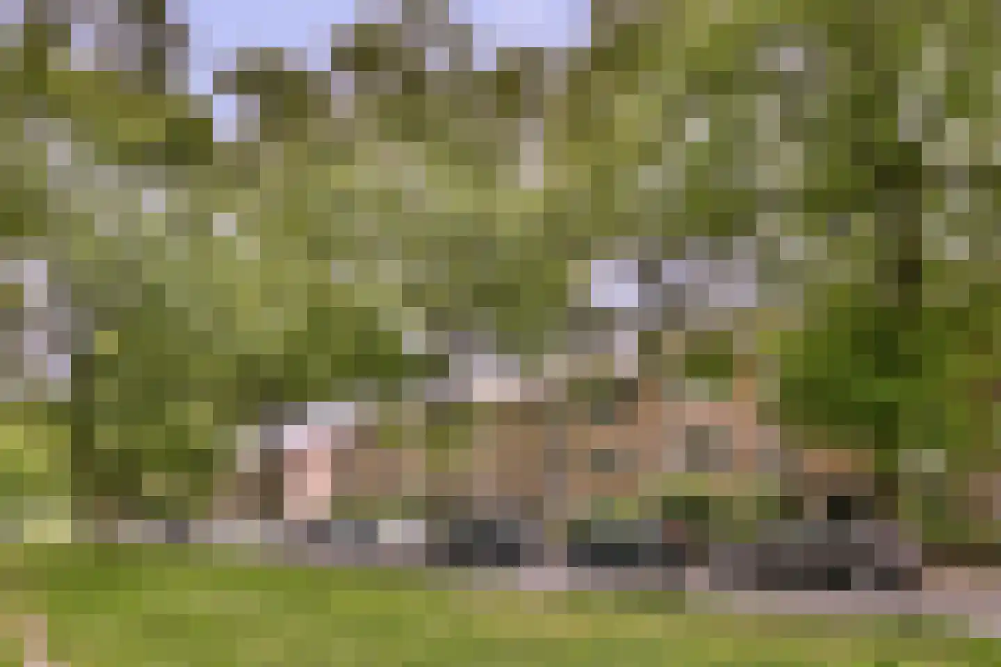 Bosdrift 150 Hilversum thumbnail 16