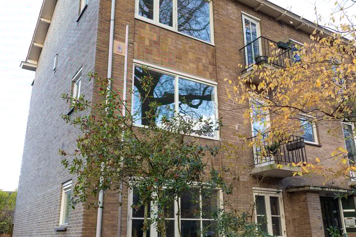 Bosdrift 210 in Hilversum Foto