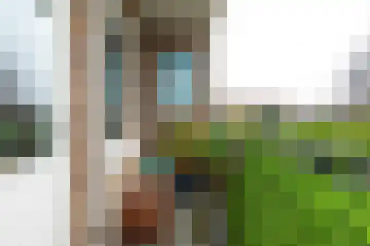 Bosdrift 210 Hilversum thumbnail 13