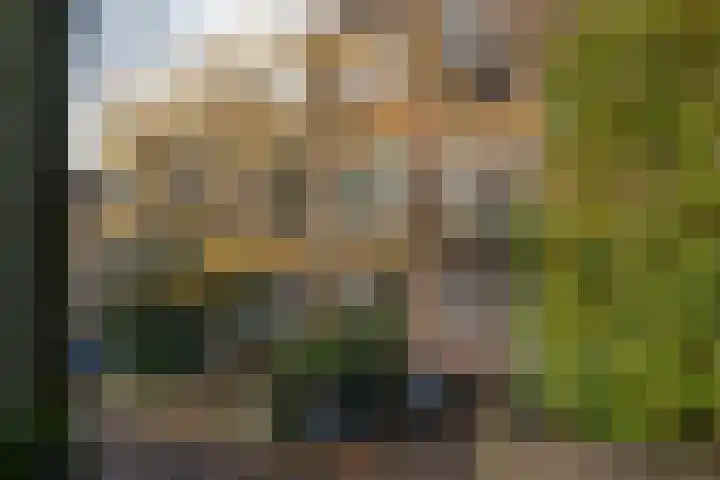 Bosdrift 210 Hilversum thumbnail 16
