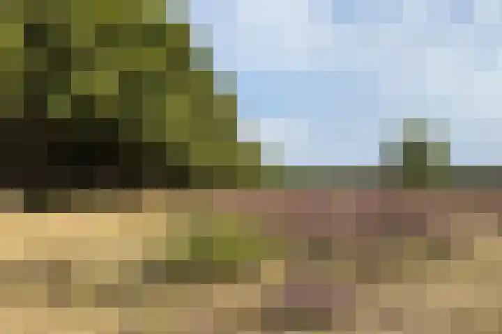 Bosdrift 210 Hilversum thumbnail 17