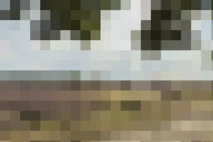 Bosdrift 210 Hilversum thumbnail 18