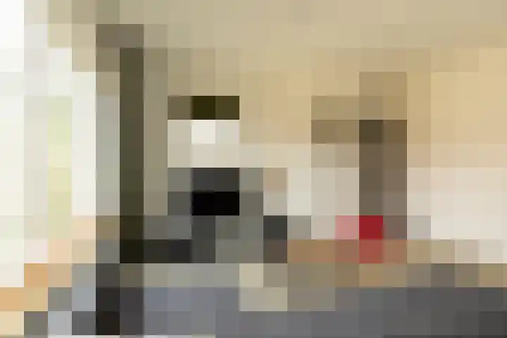 Bosdrift 210 Hilversum thumbnail 6