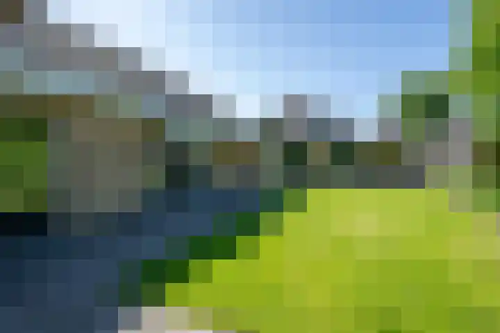 Bosdrift 211 Hilversum thumbnail 15