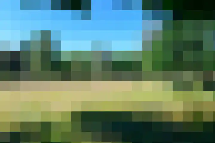 Bosdrift 211 Hilversum thumbnail 16