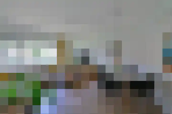 Bosdrift 211 Hilversum foto 3