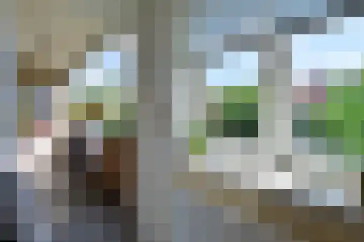 Bosdrift 211 Hilversum thumbnail 7