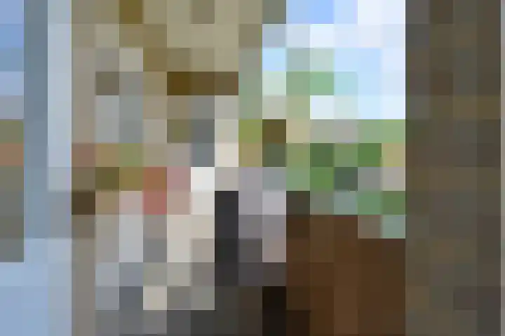 Bosdrift 211 Hilversum thumbnail 8