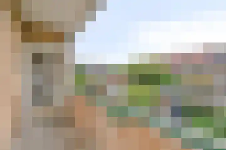 Bosdrift 217 Hilversum thumbnail 13