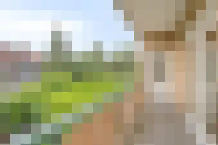 Bosdrift 217 Hilversum thumbnail 14