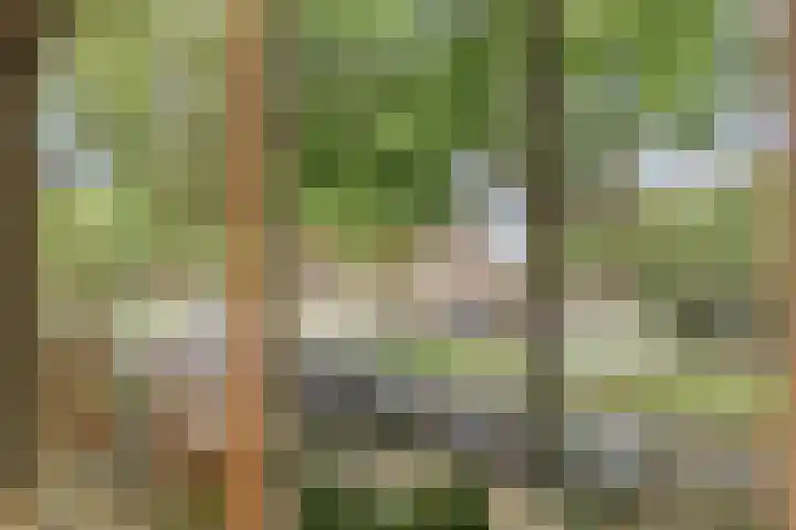 Bosdrift 217 Hilversum thumbnail 30