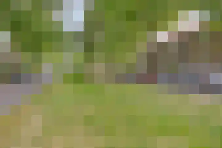 Bosdrift 217 Hilversum thumbnail 32