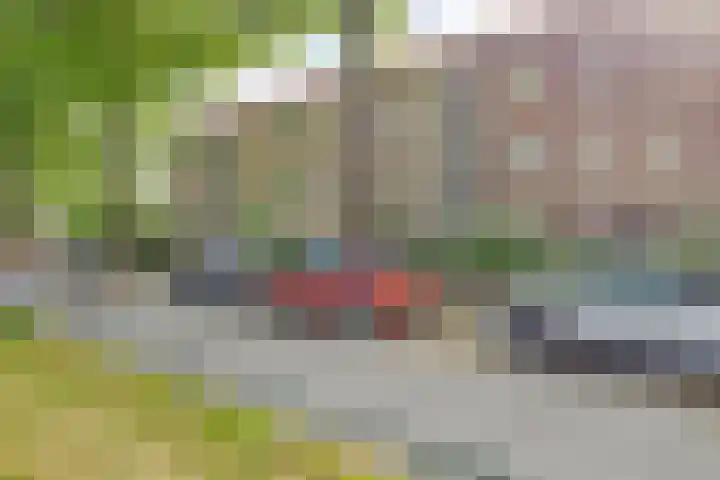 Bosdrift 217 Hilversum thumbnail 5